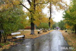 Курган, алеея горсада, осень