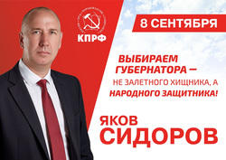 Коммунист предлагает голосовать за местных кандидатов