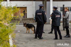 Эвакуация 18 школы после обнаружения предмета похожего на взрывное устройство. Сургут, кинологи, школа18