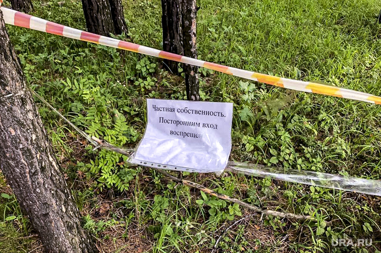 Незаконная вырубка леса в коттеджном поселке «Рассоха». Екатеринбург