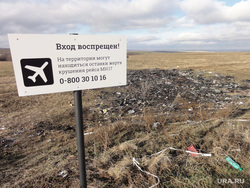 Власти Нидерландов не согласны с версией немецкого детектива о катастрофе Boeing MH17