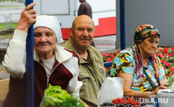 Незаконная уличная торговля. Рынки. Челябинск, овощи, торговля, продукты, пенсионерка, старики, огурцы, смородина, рынок, садоводы, бабушка, ягоды, продажа, уличная торговля, пенсионеры, базар, зелень, рынки