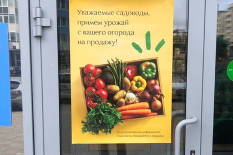 Объявление о приемке урожая появилось на дверях магазина