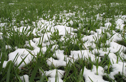 Клипарт depositphotos.com, снег летом, холодное лето, зеленая трава