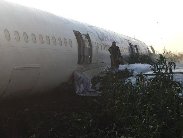 Фото с места экстренной посадки самолета «Уральских авиалиний»