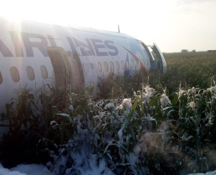 Фото с места жесткой посадки самолета «Уральских авиалиний» в кукурузном поле в Подмосковье