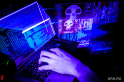 Банду хакеров, укравших у россиян почти 2 миллиарда рублей, ограбили