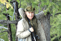 Президент России, портрет, путин владимир,  stock