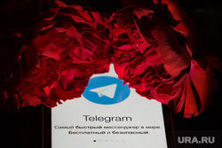 Власти объяснили, почему в России работает заблокированный Telegram