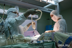 Операция на позвоночнике в Сургутской клинической травматологической больнице. Сургут, операция, медицина, врач, хирург, доктор