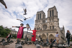 Виды Парижа. Париж, голуби, париж, франция, нотр дам де пари, собор парижской богоматери