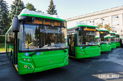 В Челябинске банкротят городской автобусный транспорт