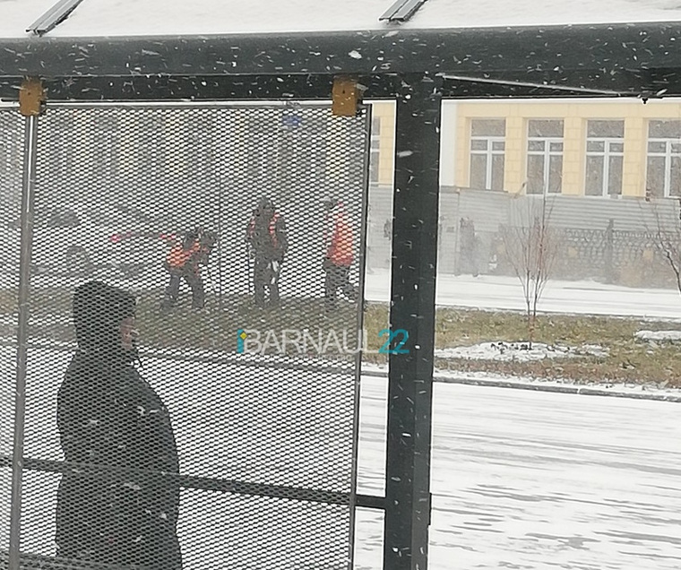 Рабочие высаживают деревья перед приездом Медведева