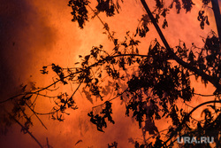 Пожар в деревянном доме по улице 8 марта. Екатеринбург, пламя, огонь, лесной пожар, дерево