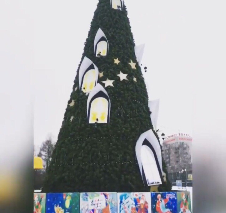 Новогодняя ель на городской площади Березников