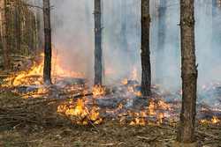 Клипарт depositphotos.com