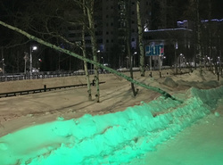 Поваленное дерево на Пионерской улице обнаружили местные жители