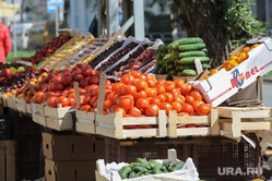 Репортаж по мусорным войнам из Миасса, овощи, помидоры, базар, торговая палатка, рынок