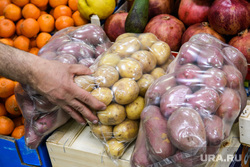 Комбинат "Ямальские олени" и Центральный рынок Салехарда, овощи, продукты, картофель, картошка, упаковка продуктов