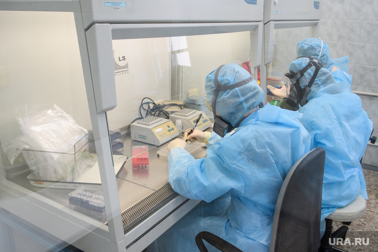 Исследование анализов на коронавирус в лаборатории ЕКДЦ. Екатеринбург