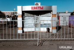 Изоляция. Тюмень., весна