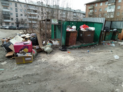 В Шадринске в Курганской области из центра города не вывозят мусор