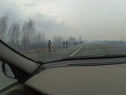 В Курганской области горели леса, которые тушили 78 человек