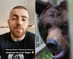 Инстаблогер очутился на базе отдыха, где живет медведь