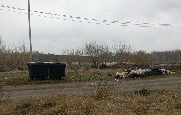 Жители другого района города заметили, что мусор вывозят только из контейнеров