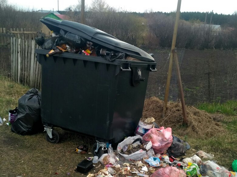 По словам жителей района Хвойное, их мусор не вывозят больше недели