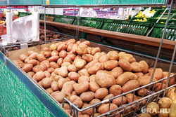 Торговый центр. Курган , продукты, картофель, тц
