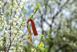 Клипарт depositphotos.com, георгиевская лента, цветущая яблоня, весна