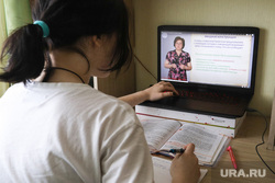 Дистанционное обучение. Клипарт. Курган, удаленная работа, удаленка, дистанционное обучение, удаленное обучение, уроки онлайн