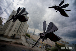 Виды Екатеринбурга, насекомые, комар, москит, москитная сетка, окно