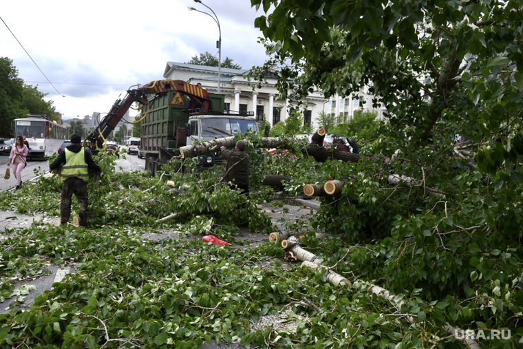 Последствия урагана в городе. Екатеринбург