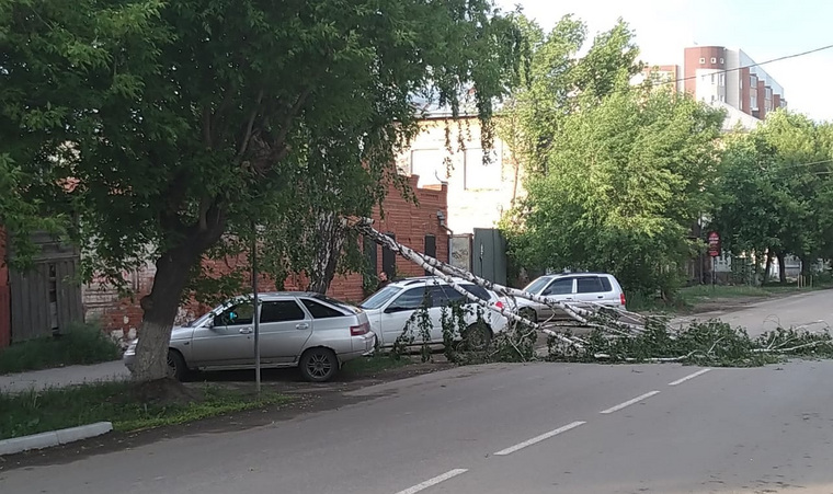 В других районах Шадринска также можно встретить поваленные ветром деревья