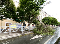 От сильного ветра уже пострадали деревья в центре города
