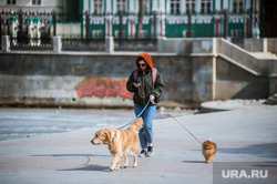 Виды города во время вынужденных выходных из-за ситуации с CoVID-19. Екатеринбург, выгул собак, екатеринбург , пустой город