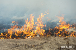 Лесные пожары. Учения МЧС. Челябинск, пожар, огонь, трава горит