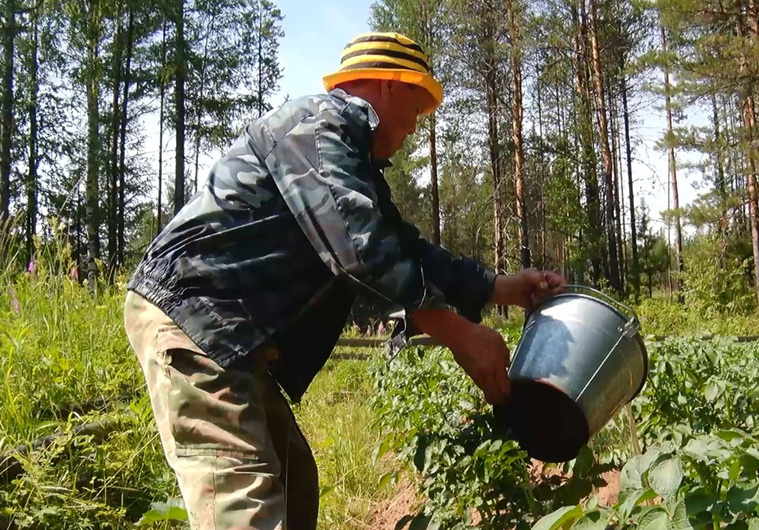Представитель народа манси Николай Пакин поливает свой огород водой из речки Тальтия
