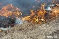 Лесные пожары. Учения МЧС. Челябинск, трава, огонь