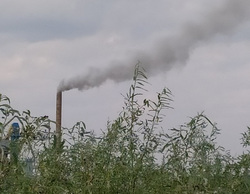 На выбросы предприятия пожаловались жители поселка Пуровск