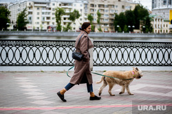 Виды города во время пандемии коронавируса. Екатеринбург, собака, эпидемия, прогулка с собакой, екатеринбург , виды города