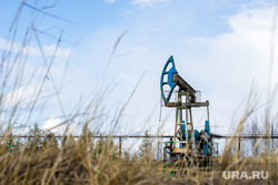 Качалки. Сургут, газ, газпром, топливо, роснефть, качалка, экономика, нефть, месторождение, нефтедобыча, добыча нефти, природные ресурсы, лукоил, сургутнефтегаз, куст нефтегазовый, цены на нефть