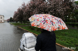 Дождь, непогода. Челябинск, погода, коляска детская, зонт, непогода, климат, дождь, яблони цветут