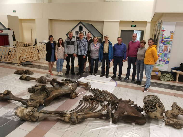 Скелет мамонта доставили в главный музей Ямала