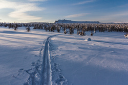 Природа Пермского края. Пермь, зима, лыжня, деревья в снегу, северный урал, горы зимой, тулымский камень