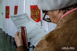 Единый день голосования 2019. Курган