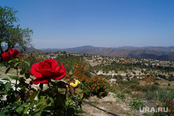 Кипр, роза, гора, природа, кипр
