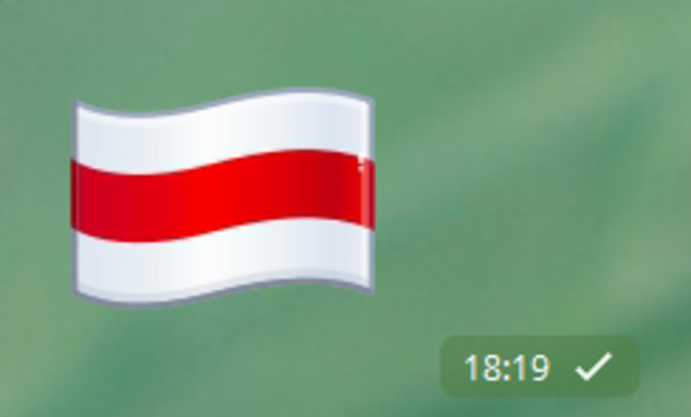 Флаг Беларуси Фото